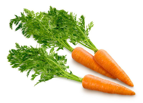 Загадки про морковь